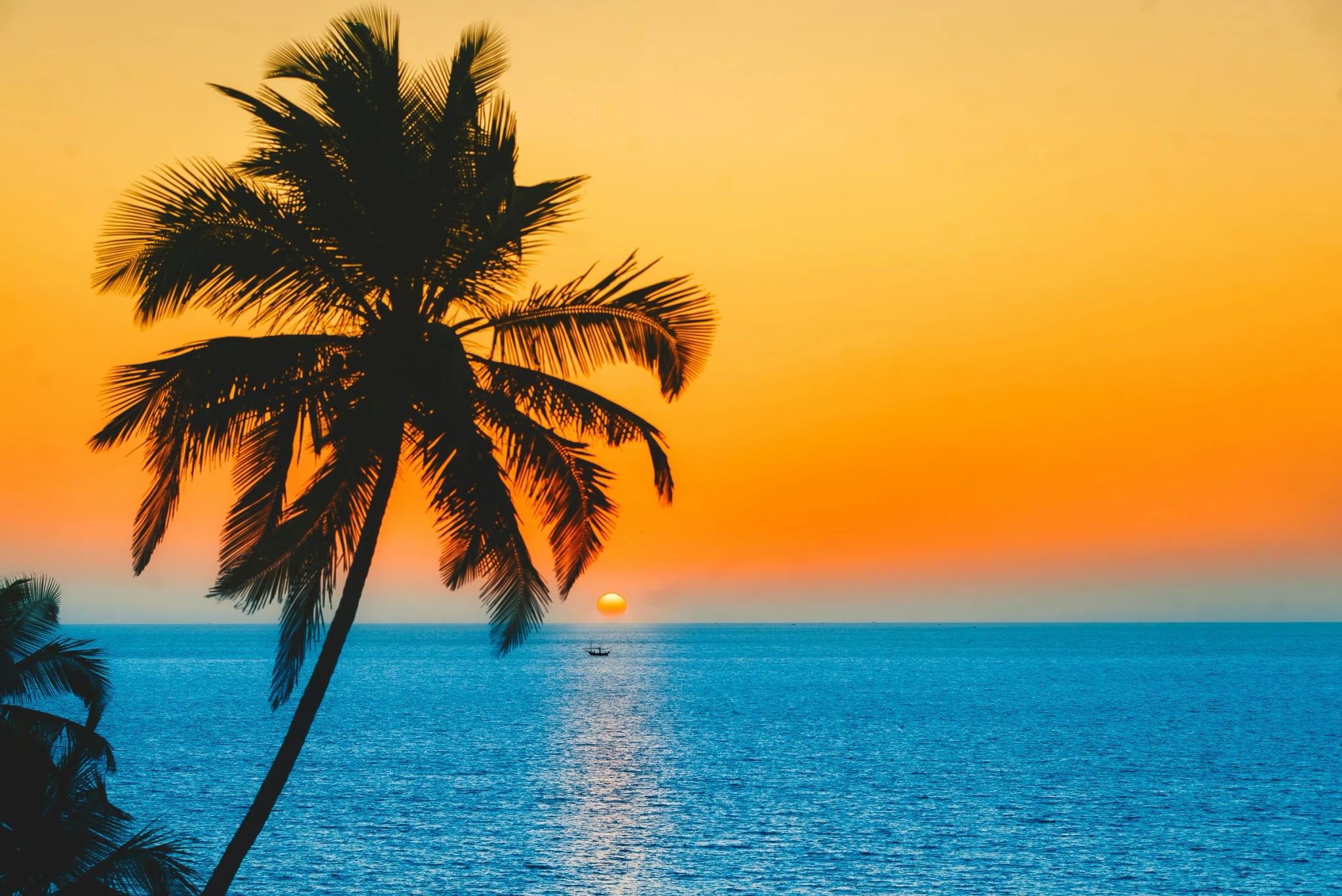 Sunset over the Goa coast with palm trees